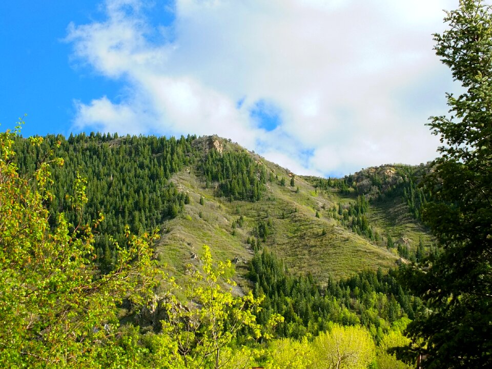 Nature spring landscape green