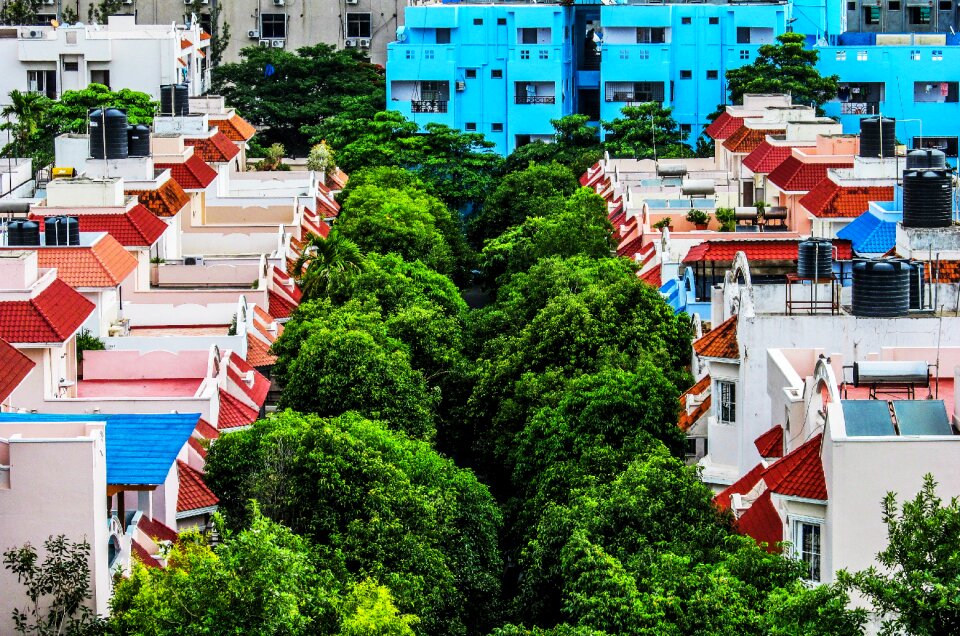Family green landscape