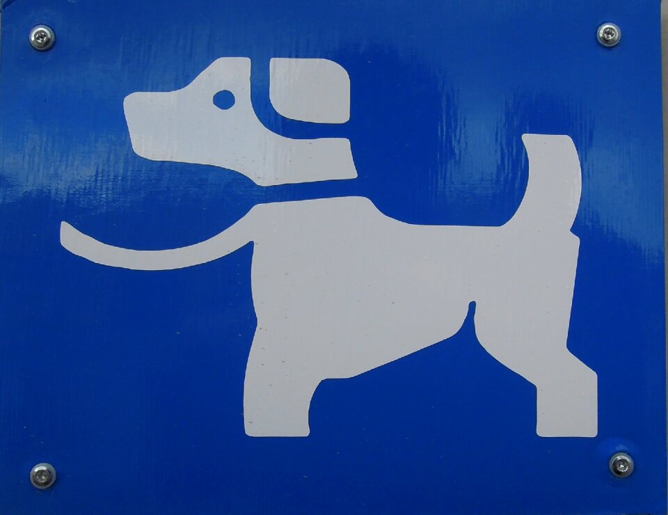 Dog character ad