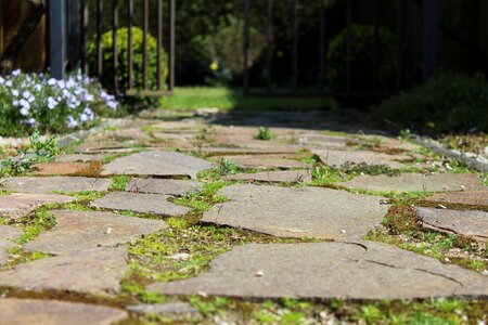 Green ground sidewalk
