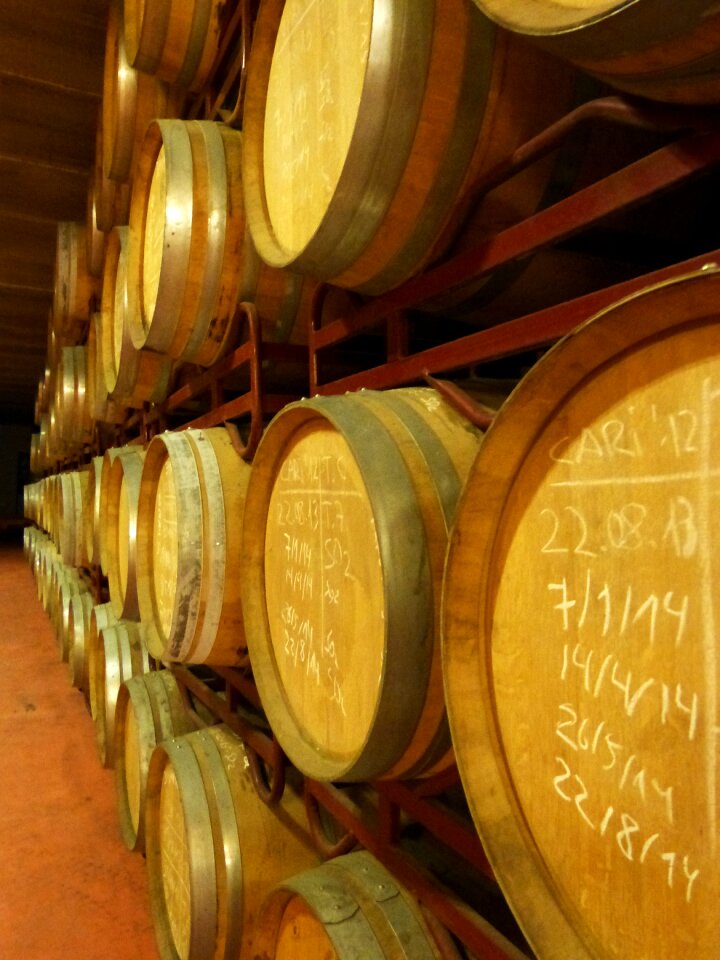 Ageing of wine winery falset