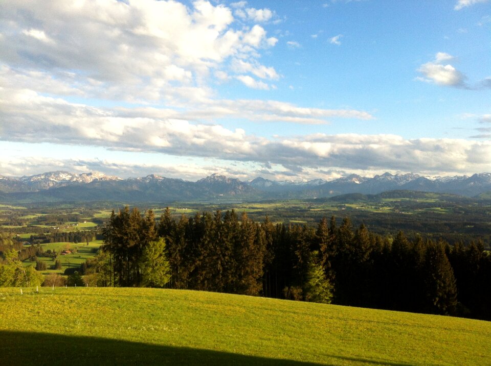 Alpine mountain meadow panorama