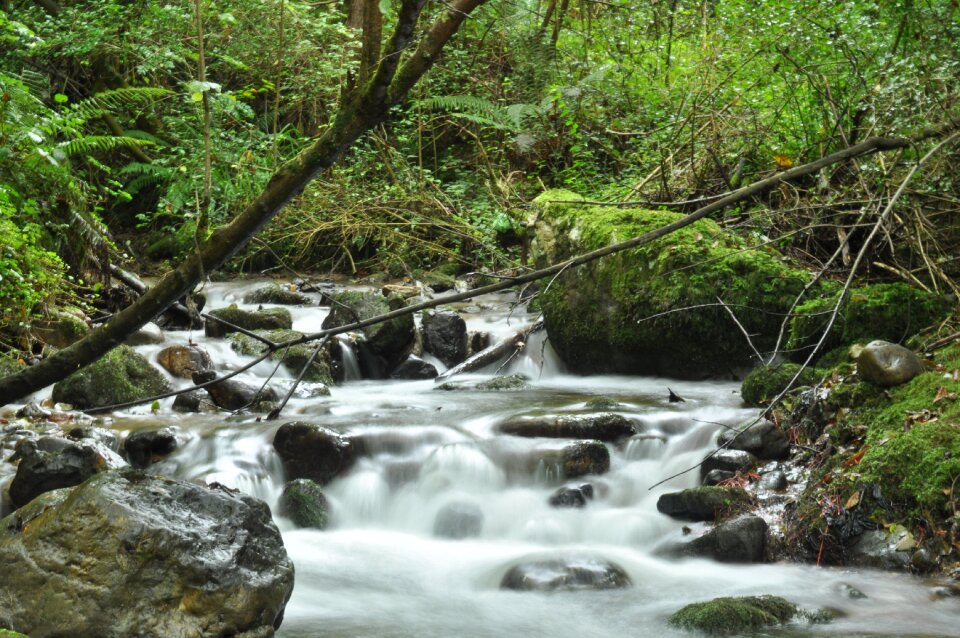 Morcín nature asturias