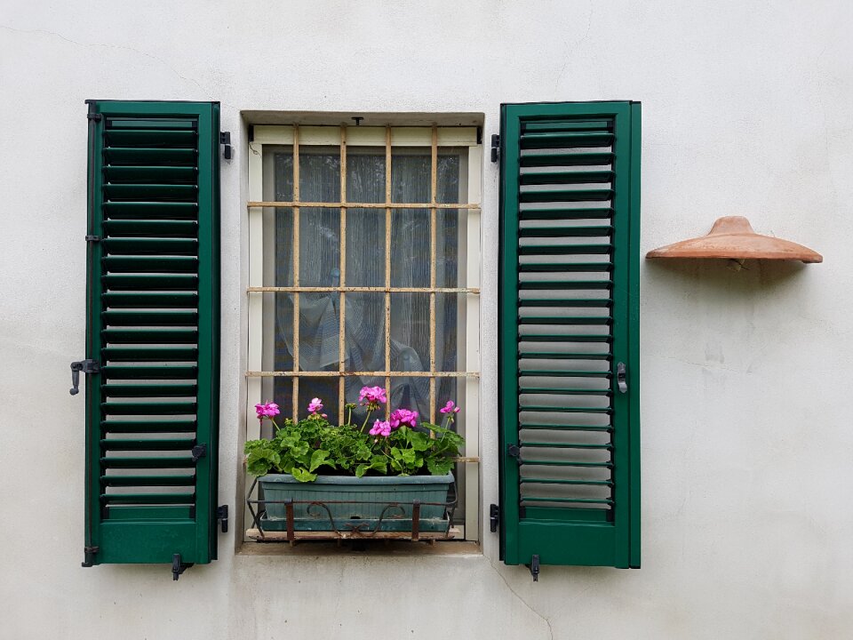 Shutters ante jealousy