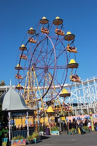 Park amusement wheel photo