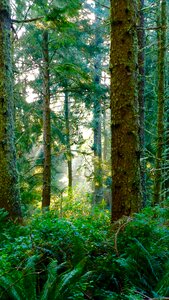 Outdoors hiking