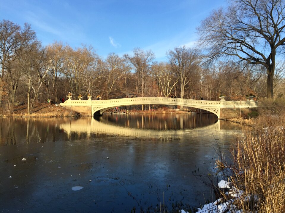 Park new york central park