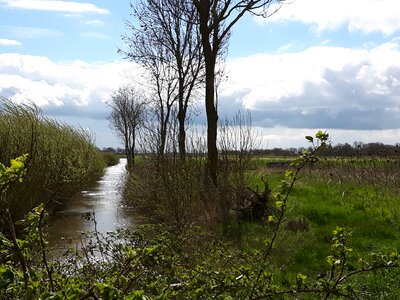 Landscape friesland nordfriesland