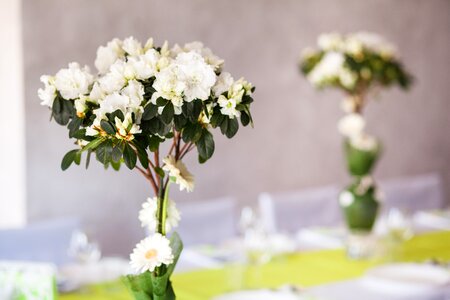 Nature bouquet of flowers bunch of flowers photo