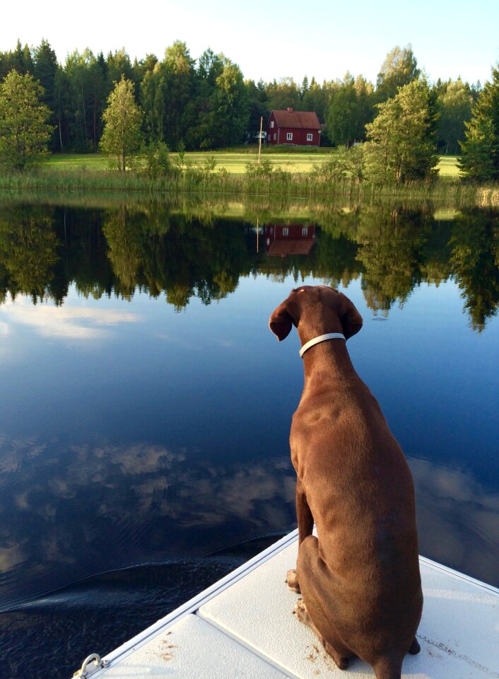 Mirror lake nature