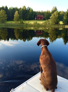 Mirror lake nature