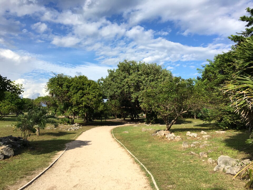 Walk walking field