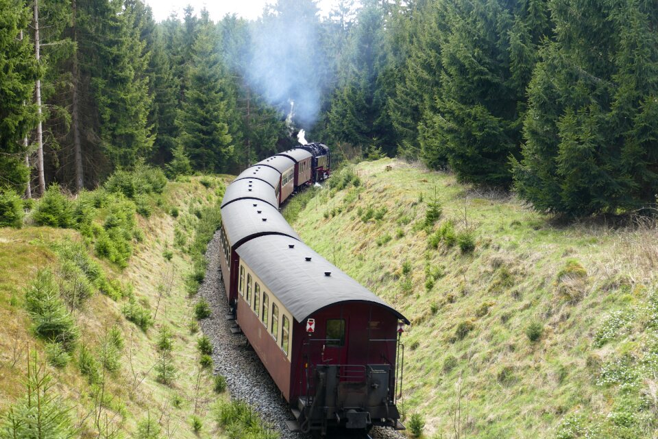 Forest nature tourism