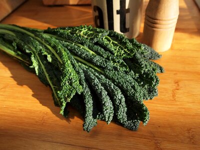 Raw fresh vegetables salad