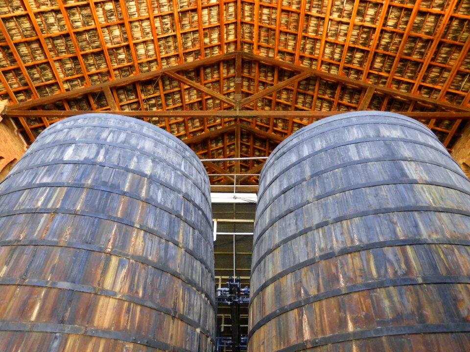 Casks viticulture falset