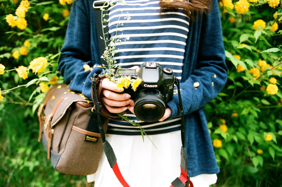 Spring dslr flowers
