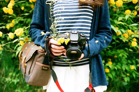 Spring dslr flowers photo