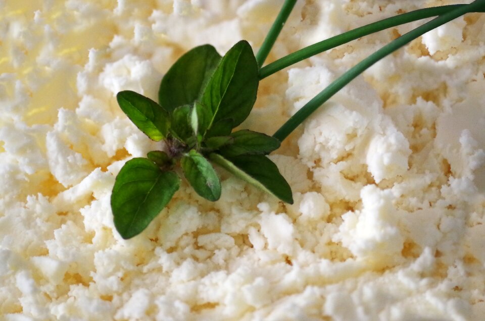 Specialty chalet sheep cheese