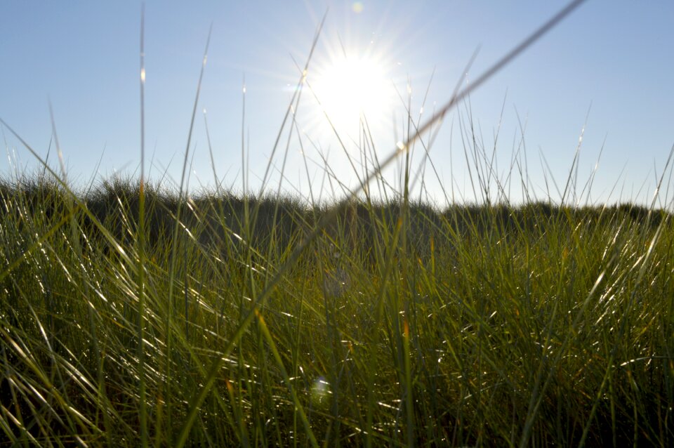 Blue sky spring sun