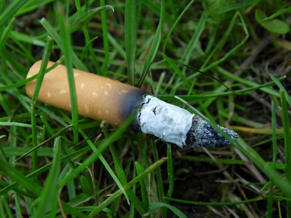 Contrast pollution powerful