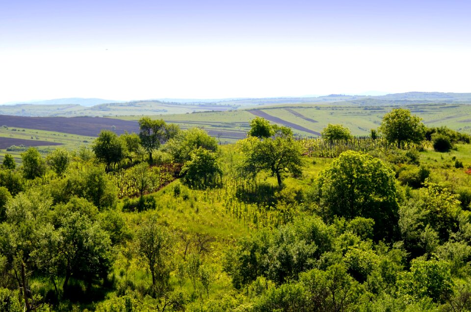Nature field distance