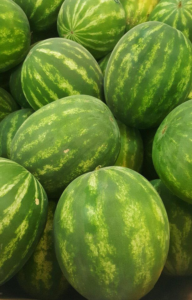 Food summer fruit