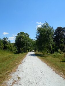 Walking path adventure photo