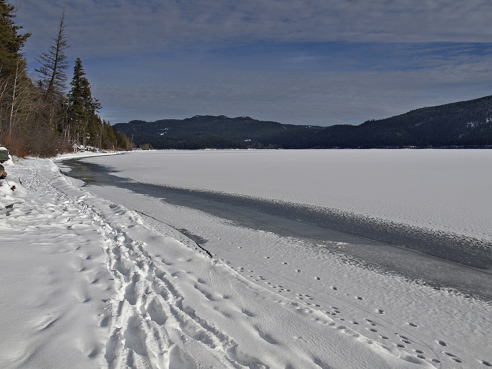 Cold snow landscape photo