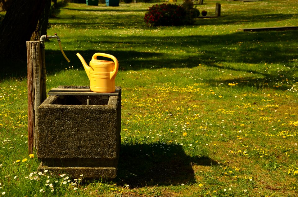 Meadow watering can casting