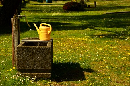 Meadow watering can casting
