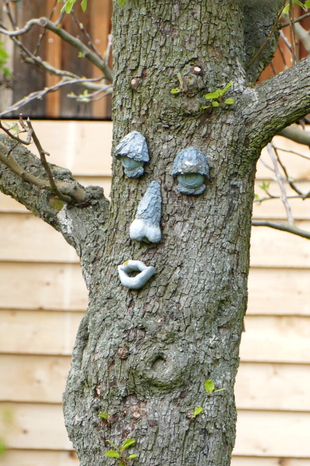 Tree face forest spirit nature