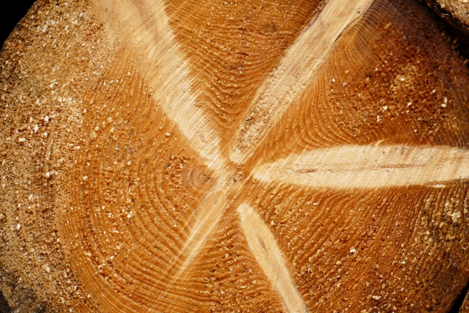 Structure wood grain