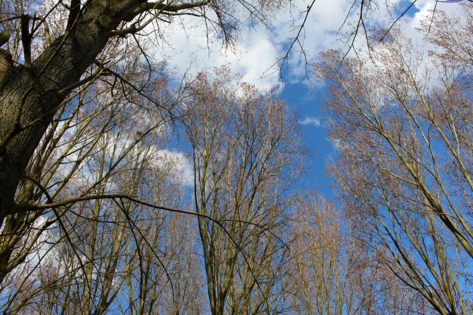 Houplines park spring