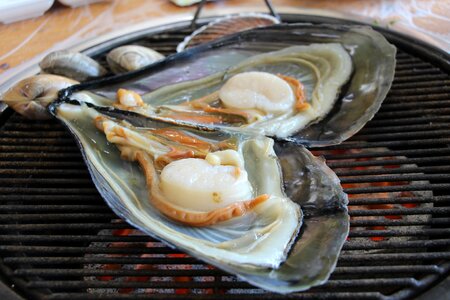 Grilled cooking seafood grill