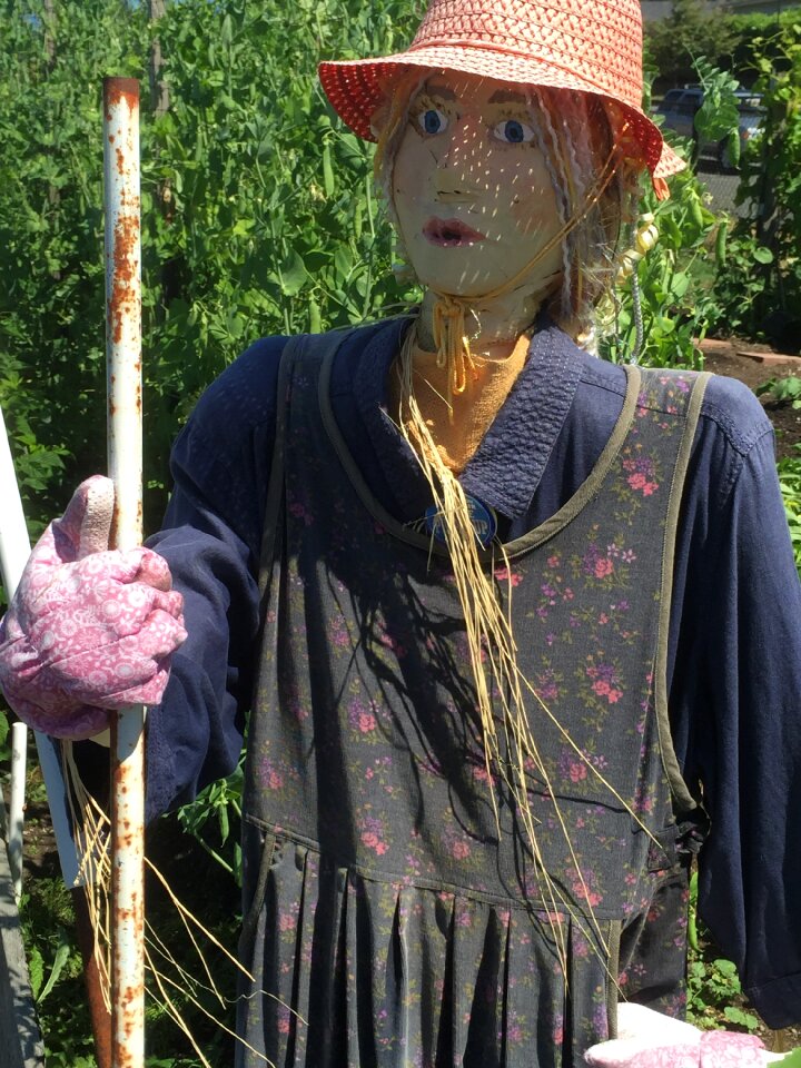 Garden gardening