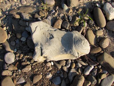 Horse pebbles beach