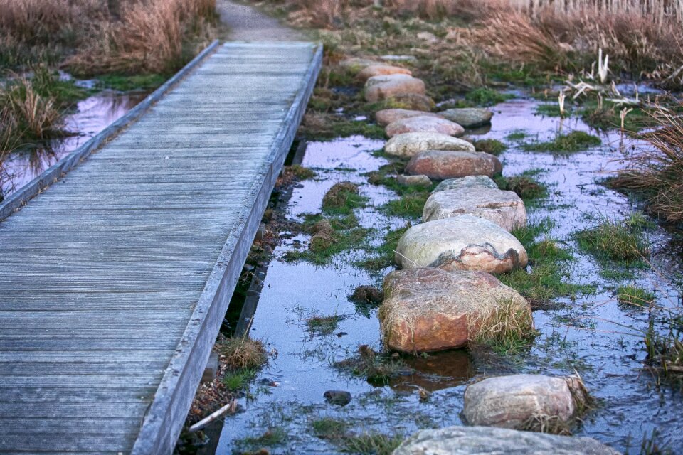Stone water natural