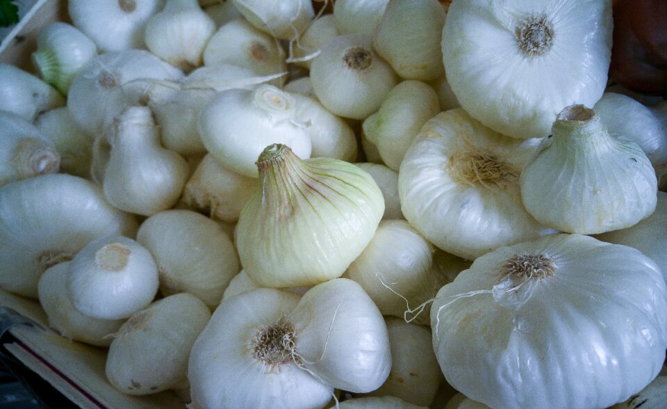 Market vegetable garden white