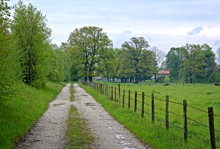 Pasture fence lane road photo