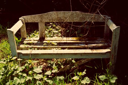 Seat decay morsch photo