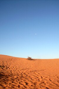 Australia desert