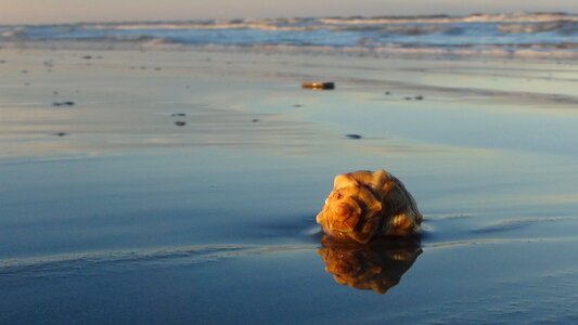 Sand beach sea