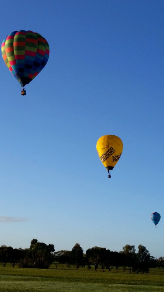 Flight basket fly
