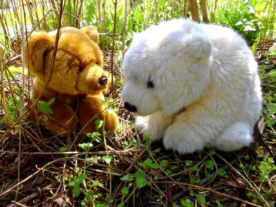 Soft toy snuggle teddy bear photo