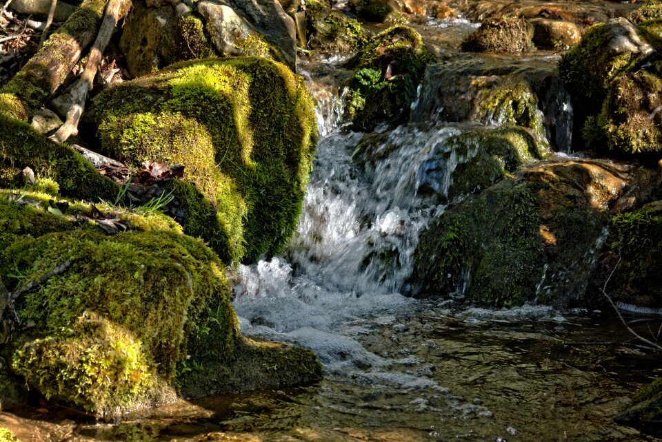 Bach stones scree