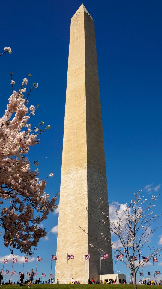 Memorial usa sight
