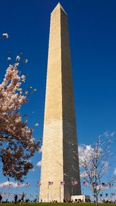 Memorial usa sight