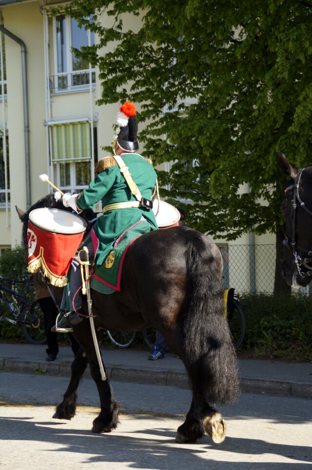 Horse guard soldier