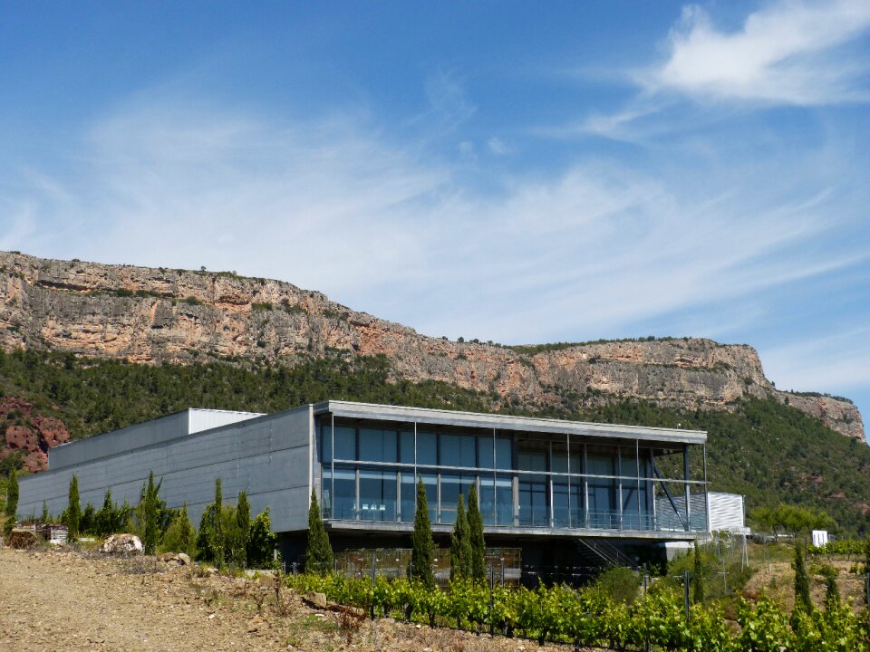 Priorat montsant vineyard