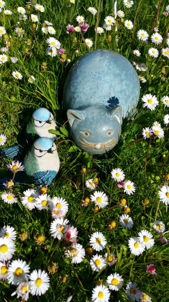 Deco spring meadow harmony